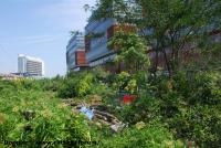 Imagine atasata: CBC - 2015.08.08 - 24.jpg